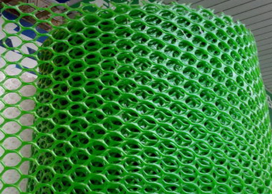 maglia della rete di plastica 250gsm