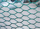 Il PVC ha ricoperto» la rete metallica esagonale di BWG27 0.41mm di X 1/2 «di 1/2